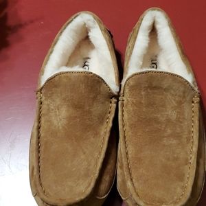 Mens ugg